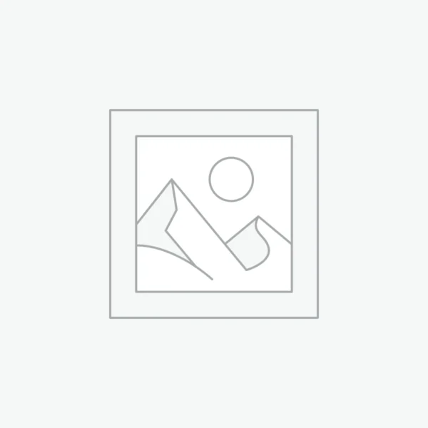 Holographic Charizard Card